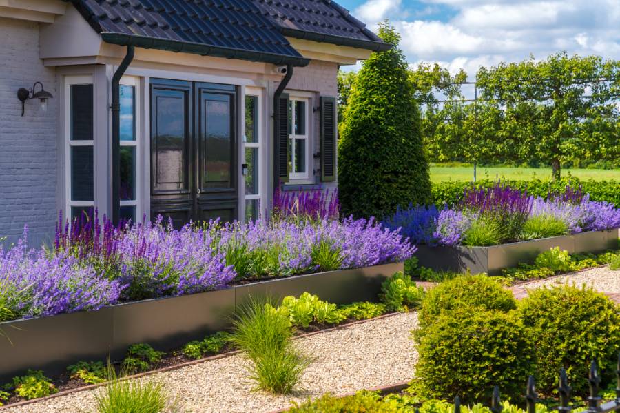 Tuin bij landelijke villa in Brabant - Dutch Quality Gardens Van Ooijen's Hoveniers